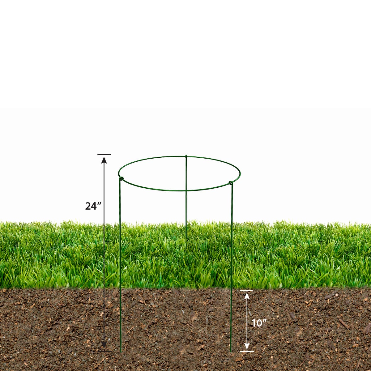 Plant Support, Plant Support